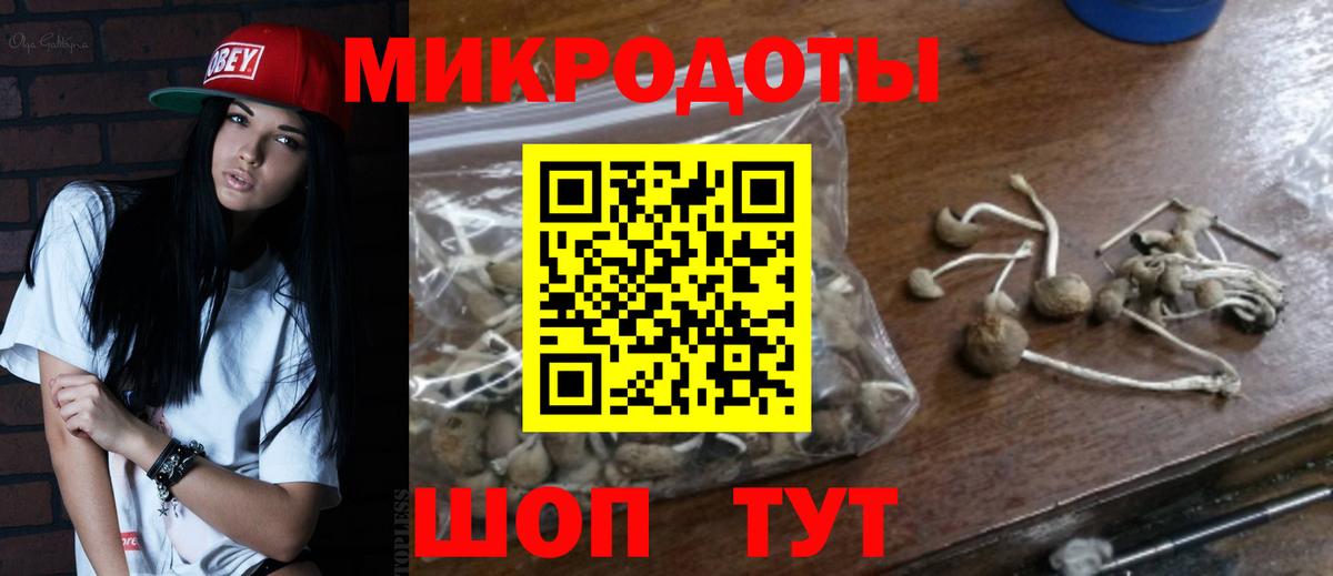 Богородск  Псилоцибиновые грибы прущие грибы  Вход с VPN  Галлюциногенные грибы мухоморы 